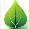 Green leaf and paper symbol